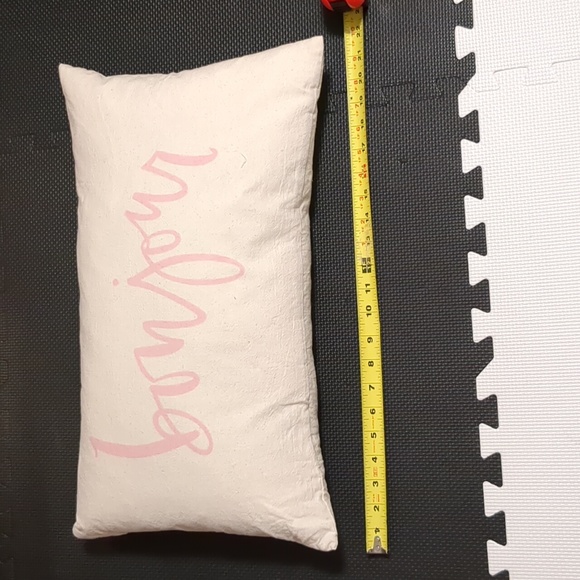 NWT "BONJOUR" Accent Pillow & Sham - Picture 6 of 8